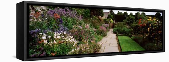 Garden of a Castle, Crathes Castle, Aberdeenshire, Scotland-null-Framed Premier Image Canvas