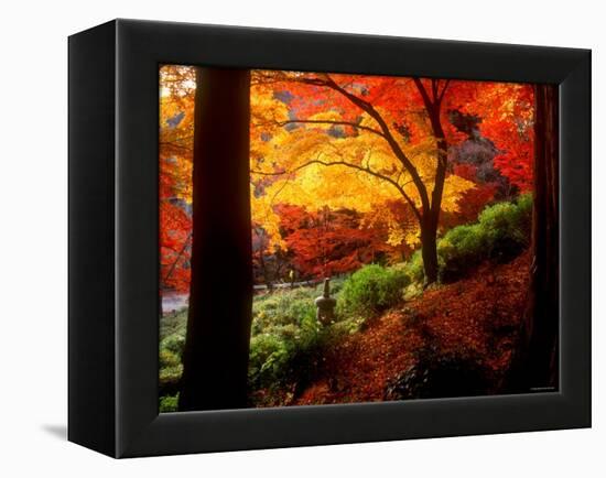 Garden of Bishamon-Do Temple-null-Framed Premier Image Canvas