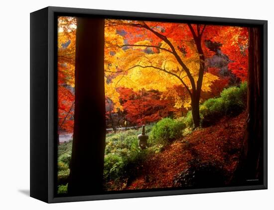 Garden of Bishamon-Do Temple-null-Framed Premier Image Canvas