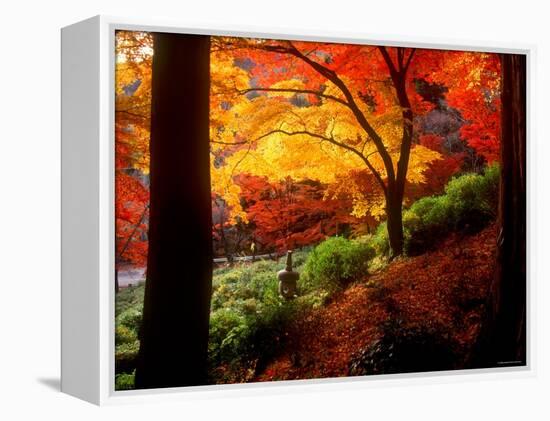 Garden of Bishamon-Do Temple-null-Framed Premier Image Canvas