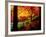 Garden of Bishamon-Do Temple-null-Framed Photographic Print