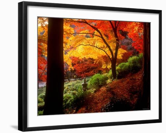 Garden of Bishamon-Do Temple-null-Framed Photographic Print