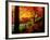 Garden of Bishamon-Do Temple-null-Framed Photographic Print