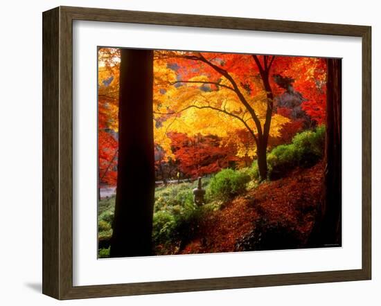 Garden of Bishamon-Do Temple-null-Framed Photographic Print