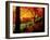 Garden of Bishamon-Do Temple-null-Framed Photographic Print