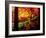 Garden of Bishamon-Do Temple-null-Framed Photographic Print