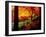 Garden of Bishamon-Do Temple-null-Framed Photographic Print