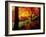 Garden of Bishamon-Do Temple-null-Framed Photographic Print