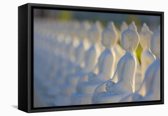 Garden of Buddahs II-Kathy Mahan-Framed Premier Image Canvas