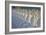 Garden of Buddahs II-Kathy Mahan-Framed Photographic Print