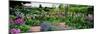 Garden of Claude Monet's House, Giverny, France-null-Mounted Photographic Print