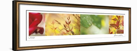 Garden of Contrast-Florence Delva-Framed Giclee Print