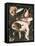 Garden of Earthly Delights-Hieronymus Bosch-Framed Stretched Canvas