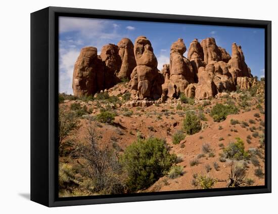 Garden of Eden Area, Arches National Park, Utah, Usa-Rob Sheppard-Framed Premier Image Canvas