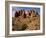 Garden of Eden Area, Arches National Park, Utah, Usa-Rob Sheppard-Framed Photographic Print