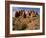 Garden of Eden Area, Arches National Park, Utah, Usa-Rob Sheppard-Framed Photographic Print