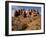 Garden of Eden Area, Arches National Park, Utah, Usa-Rob Sheppard-Framed Photographic Print