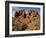 Garden of Eden Area, Arches National Park, Utah, Usa-Rob Sheppard-Framed Photographic Print