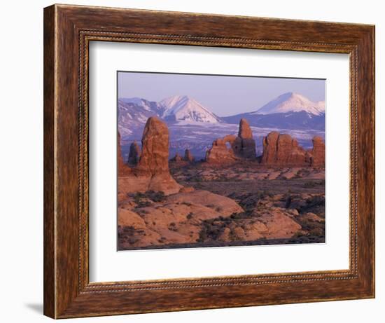 Garden of Eden with La Sal Mountains near Dusk, Arches National Park, Utah, USA-Jamie & Judy Wild-Framed Photographic Print