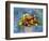 Garden Of Flowers M3-Ata Alishahi-Framed Giclee Print