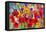 Garden Of Flowers M6-Ata Alishahi-Framed Premier Image Canvas