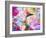 Garden Of Flowers M8A-Ata Alishahi-Framed Giclee Print