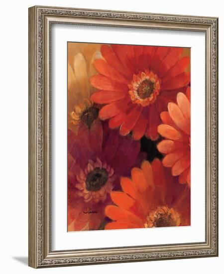 Garden of Gerberas II-Albena Hristova-Framed Art Print