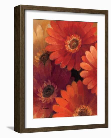 Garden of Gerberas II-Albena Hristova-Framed Art Print