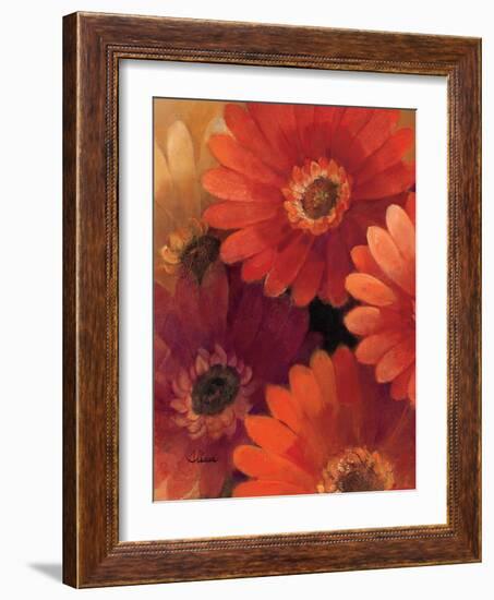 Garden of Gerberas II-Albena Hristova-Framed Art Print