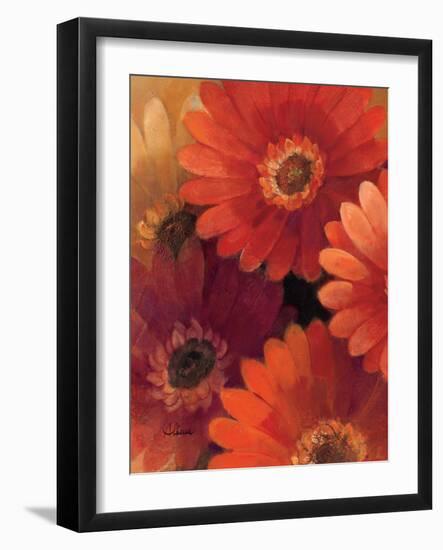 Garden of Gerberas II-Albena Hristova-Framed Art Print