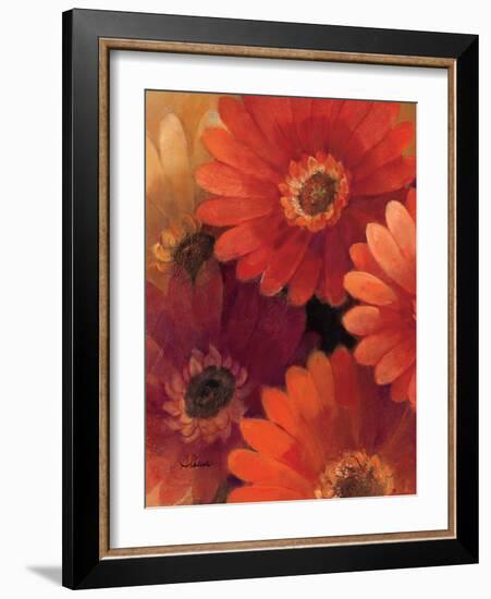 Garden of Gerberas II-Albena Hristova-Framed Art Print