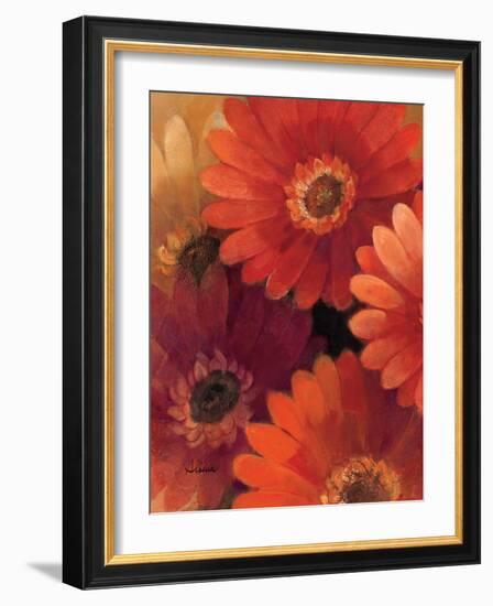 Garden of Gerberas II-Albena Hristova-Framed Art Print