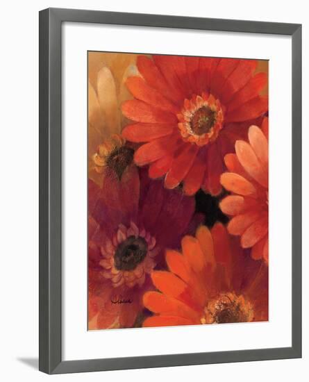 Garden of Gerberas II-Albena Hristova-Framed Art Print