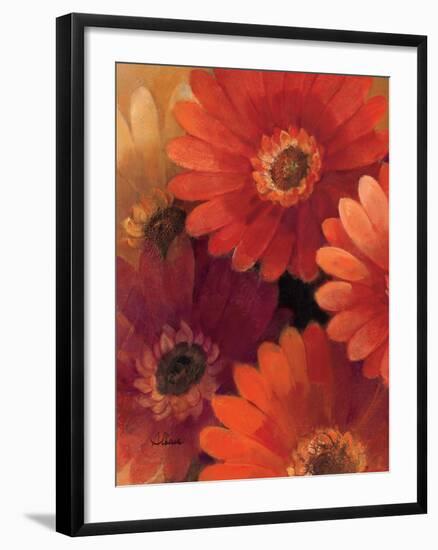 Garden of Gerberas II-Albena Hristova-Framed Art Print