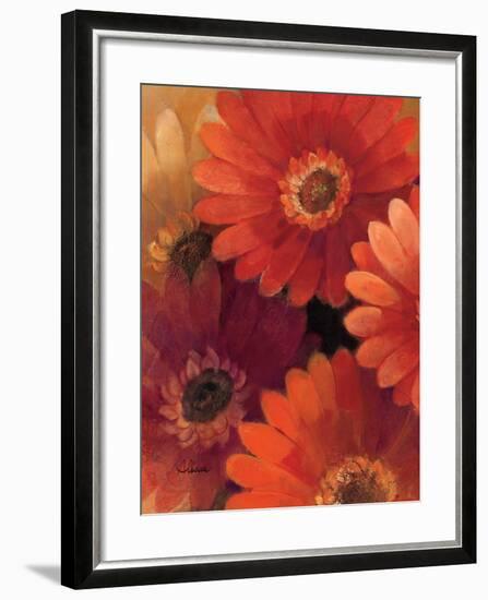 Garden of Gerberas II-Albena Hristova-Framed Art Print