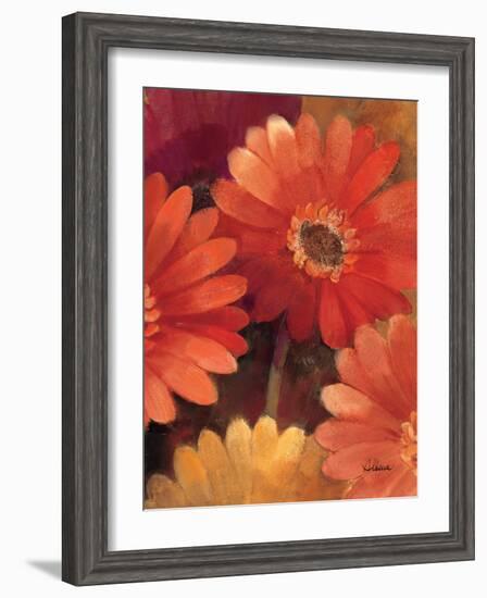 Garden of Gerberas III-Albena Hristova-Framed Art Print