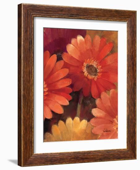 Garden of Gerberas III-Albena Hristova-Framed Art Print