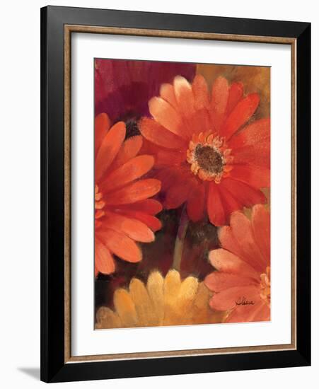 Garden of Gerberas III-Albena Hristova-Framed Art Print