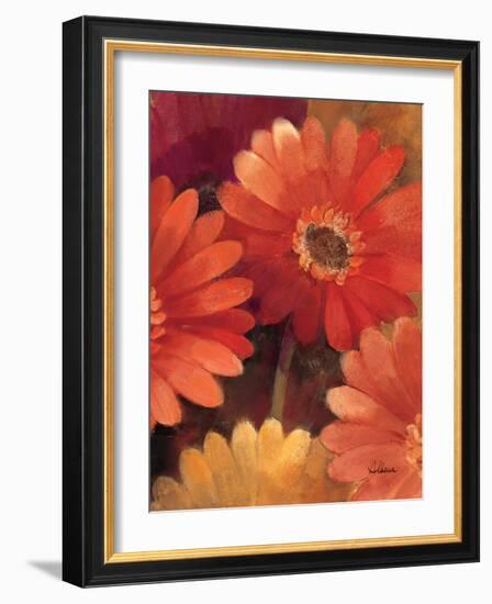 Garden of Gerberas III-Albena Hristova-Framed Art Print