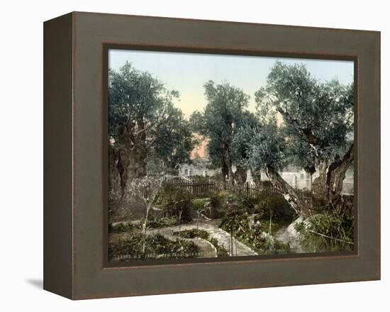 Garden Of Gethsemane-null-Framed Premier Image Canvas