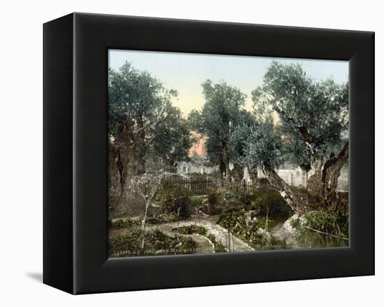 Garden Of Gethsemane-null-Framed Premier Image Canvas