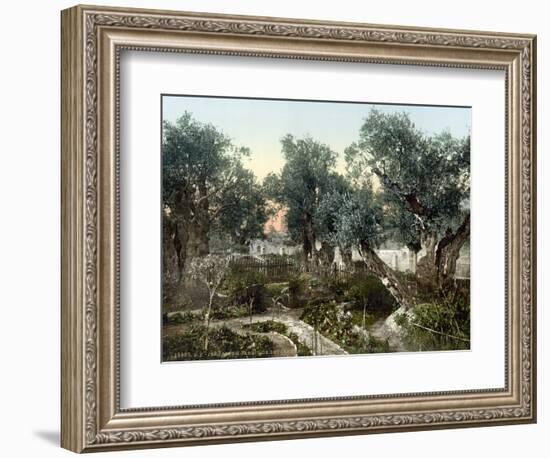 Garden Of Gethsemane-null-Framed Photographic Print