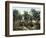 Garden Of Gethsemane-null-Framed Photographic Print