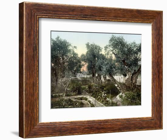 Garden Of Gethsemane-null-Framed Photographic Print