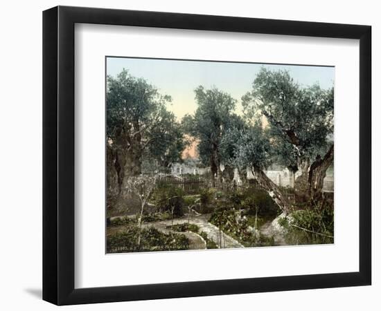 Garden Of Gethsemane-null-Framed Photographic Print