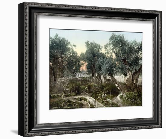 Garden Of Gethsemane-null-Framed Photographic Print