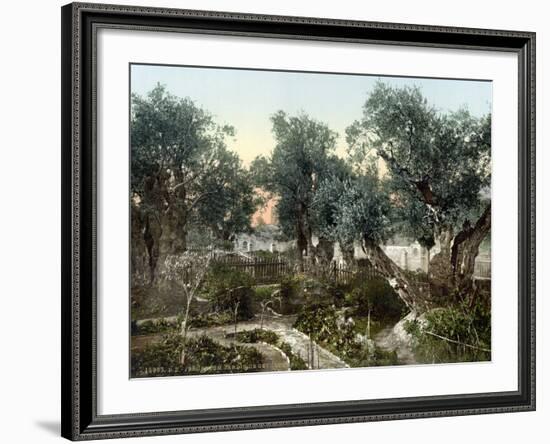 Garden Of Gethsemane-null-Framed Photographic Print