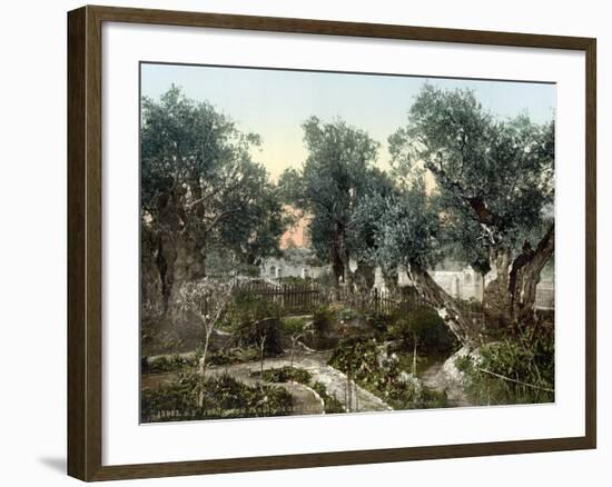 Garden Of Gethsemane-null-Framed Photographic Print