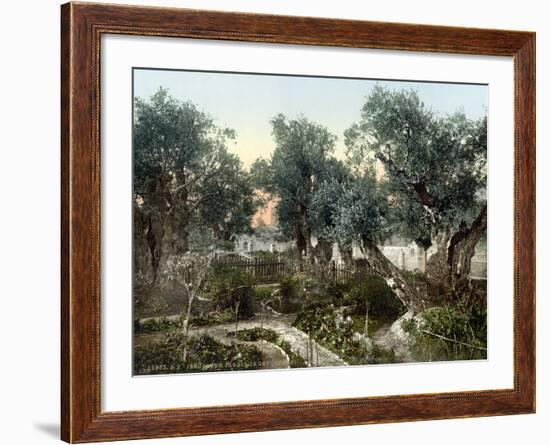 Garden Of Gethsemane-null-Framed Photographic Print