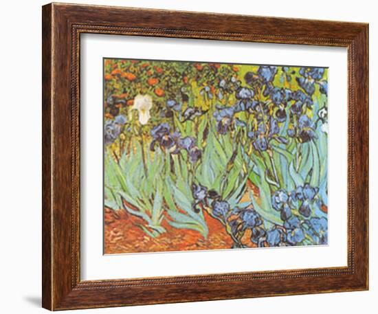 Garden of Irises-Vincent van Gogh-Framed Art Print